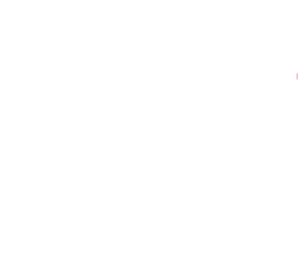 Vitalwerte